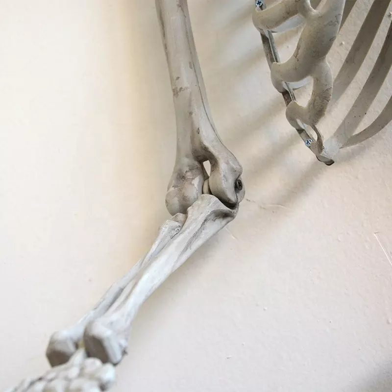 Halloween Party Decorations Skeleton - Image 3